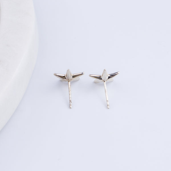 Raat Rani Silver Earring