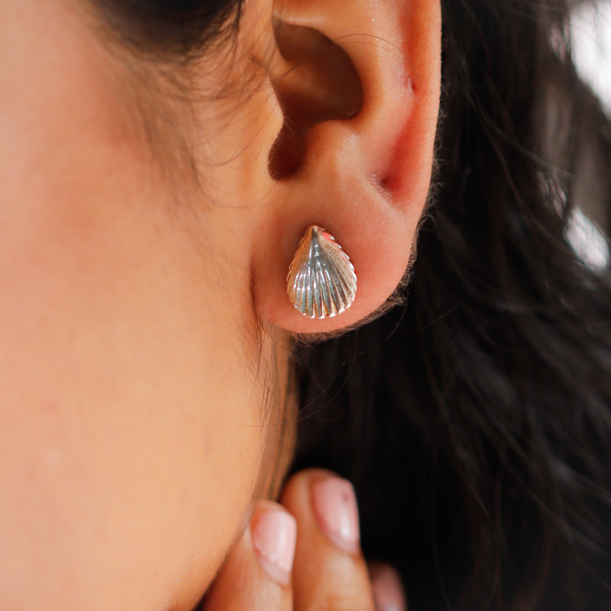 Silver Shell Earring