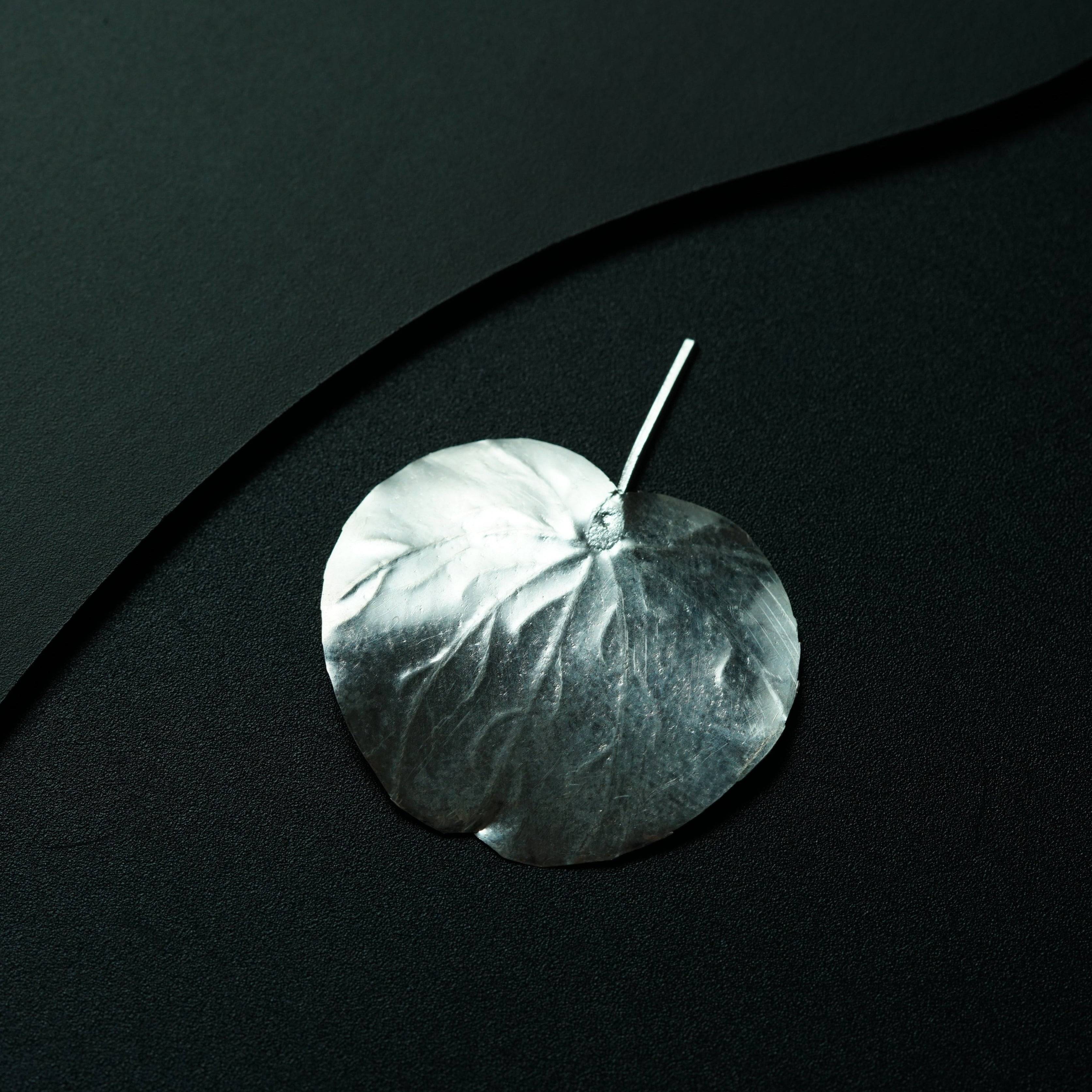 a silver leaf on a black surface