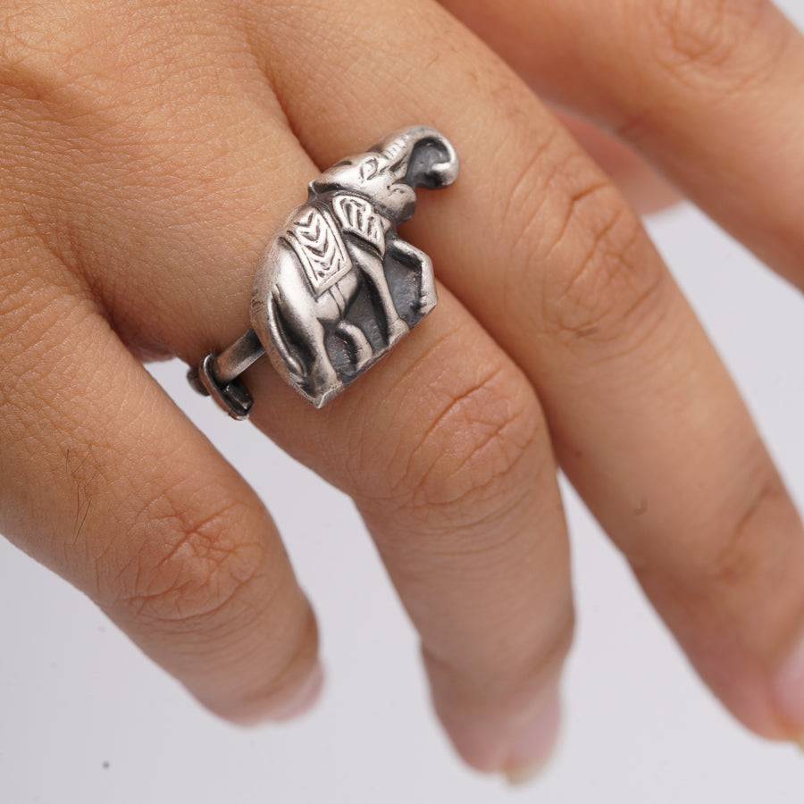 Lukachupi Elephant Ring