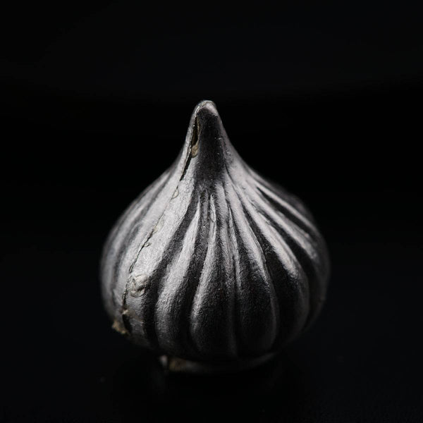 a black and white photo of a garlic